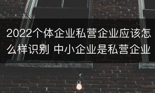 2022个体企业私营企业应该怎么样识别 中小企业是私营企业吗