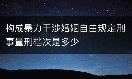 构成暴力干涉婚姻自由规定刑事量刑档次是多少