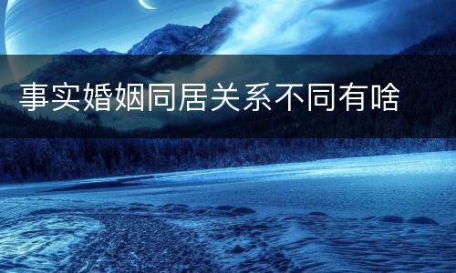 事实婚姻同居关系不同有啥