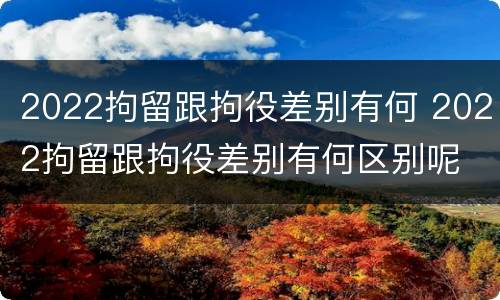 2022拘留跟拘役差别有何 2022拘留跟拘役差别有何区别呢