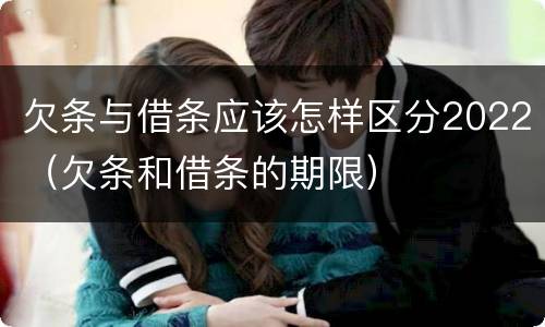 欠条与借条应该怎样区分2022（欠条和借条的期限）