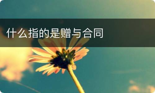 什么指的是赠与合同