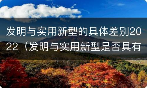 发明与实用新型的具体差别2022（发明与实用新型是否具有实用性）