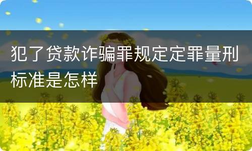 犯了贷款诈骗罪规定定罪量刑标准是怎样