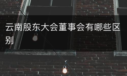 云南股东大会董事会有哪些区别