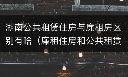 湖南公共租赁住房与廉租房区别有啥（廉租住房和公共租赁住房的区别）