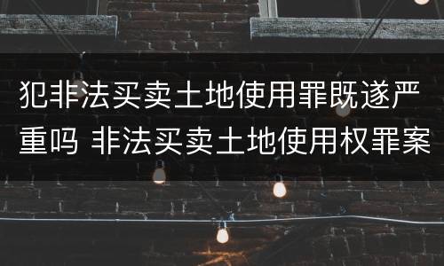 犯非法买卖土地使用罪既遂严重吗 非法买卖土地使用权罪案例