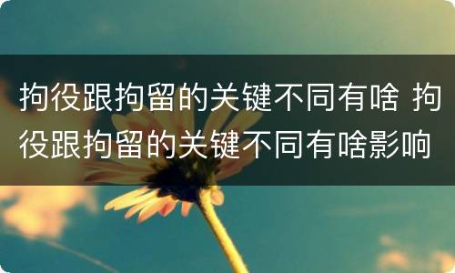 拘役跟拘留的关键不同有啥 拘役跟拘留的关键不同有啥影响