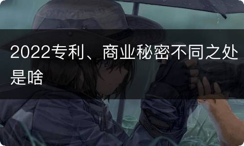 2022专利、商业秘密不同之处是啥