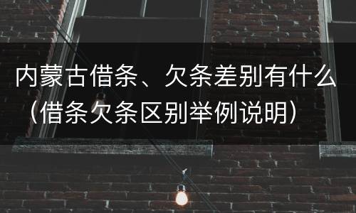 内蒙古借条、欠条差别有什么（借条欠条区别举例说明）