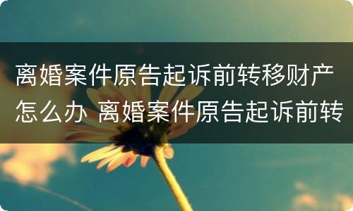 离婚案件原告起诉前转移财产怎么办 离婚案件原告起诉前转移财产怎么办手续