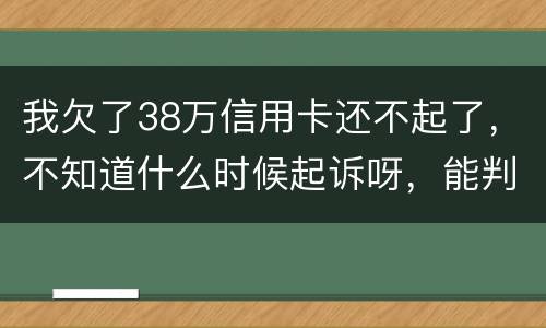 我欠了38万信用卡还不起了，不知道什么时候起诉呀，能判刑几年