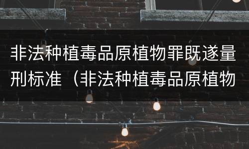 非法种植毒品原植物罪既遂量刑标准（非法种植毒品原植物罪量刑指导意见）