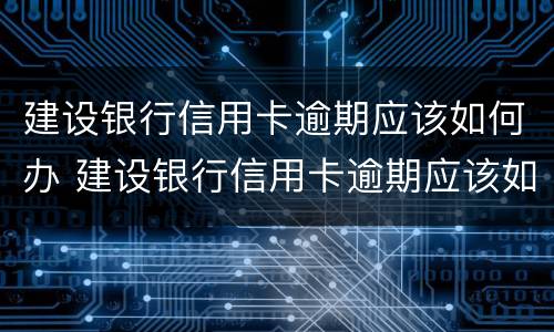 建设银行信用卡逾期应该如何办 建设银行信用卡逾期应该如何办理