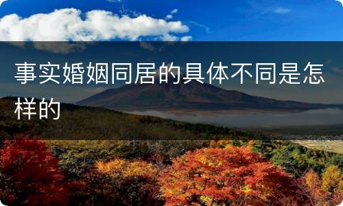 事实婚姻同居的具体不同是怎样的