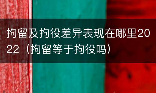 拘留及拘役差异表现在哪里2022（拘留等于拘役吗）