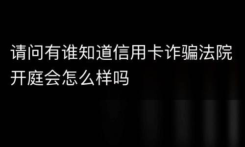 请问有谁知道信用卡诈骗法院开庭会怎么样吗