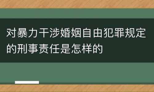 对暴力干涉婚姻自由犯罪规定的刑事责任是怎样的