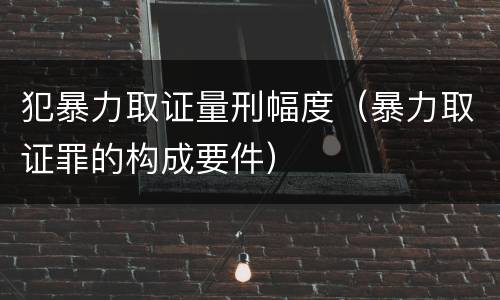 犯暴力取证量刑幅度（暴力取证罪的构成要件）