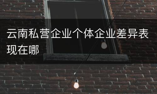 云南私营企业个体企业差异表现在哪