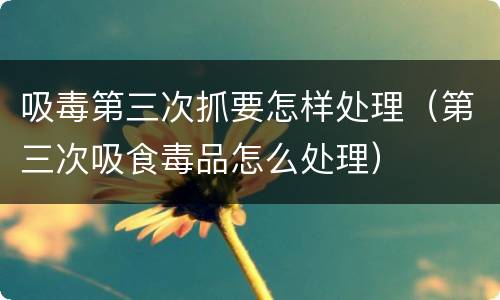 吸毒第三次抓要怎样处理（第三次吸食毒品怎么处理）