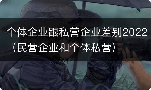 个体企业跟私营企业差别2022（民营企业和个体私营）
