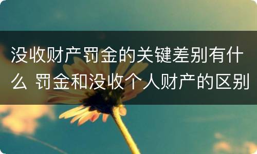 没收财产罚金的关键差别有什么 罚金和没收个人财产的区别