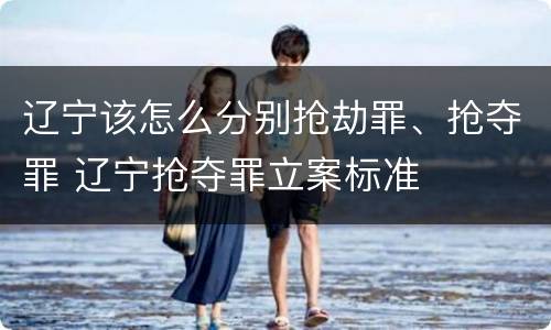 辽宁该怎么分别抢劫罪、抢夺罪 辽宁抢夺罪立案标准
