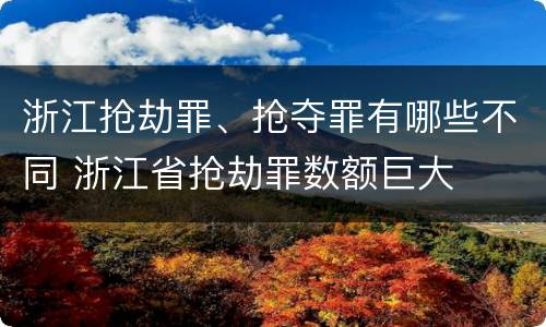 浙江抢劫罪、抢夺罪有哪些不同 浙江省抢劫罪数额巨大
