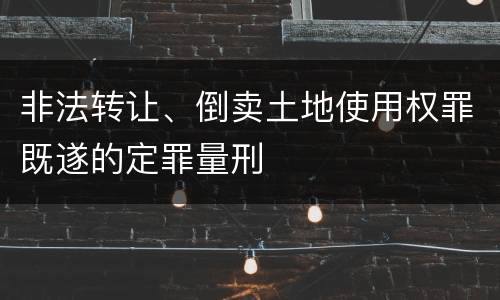 非法转让、倒卖土地使用权罪既遂的定罪量刑
