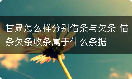 甘肃怎么样分别借条与欠条 借条欠条收条属于什么条据