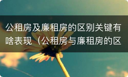 公租房及廉租房的区别关键有啥表现（公租房与廉租房的区别都在此,别再搞错了!）