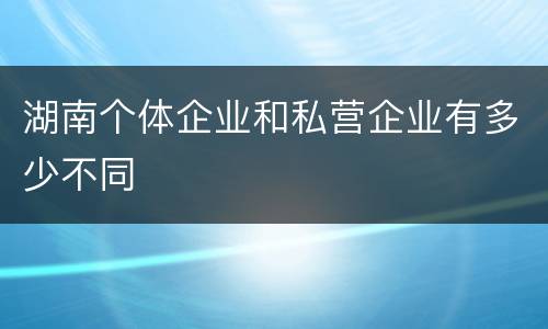 湖南个体企业和私营企业有多少不同