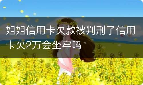 姐姐信用卡欠款被判刑了信用卡欠2万会坐牢吗