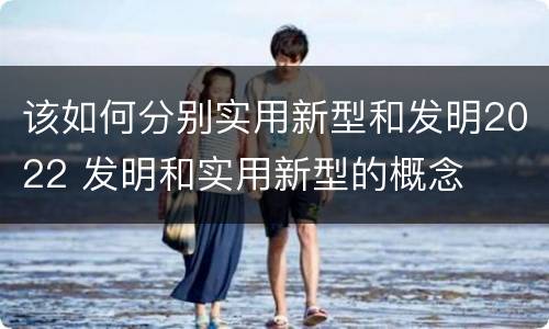 该如何分别实用新型和发明2022 发明和实用新型的概念