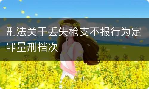 刑法关于丢失枪支不报行为定罪量刑档次