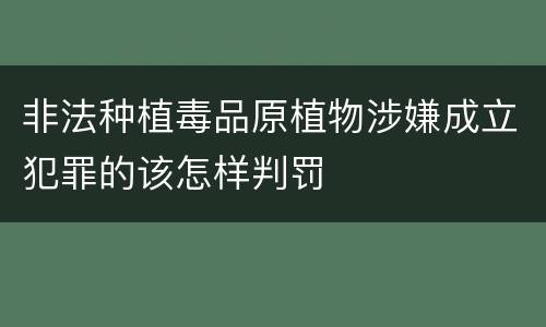 非法种植毒品原植物涉嫌成立犯罪的该怎样判罚