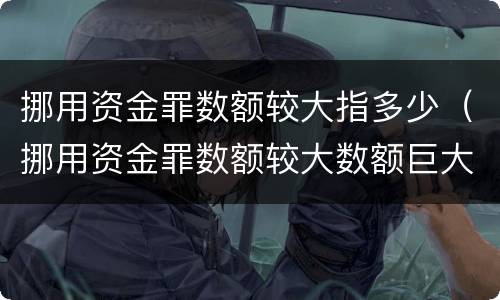 挪用资金罪数额较大指多少（挪用资金罪数额较大数额巨大）