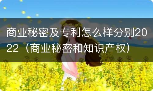 商业秘密及专利怎么样分别2022（商业秘密和知识产权）