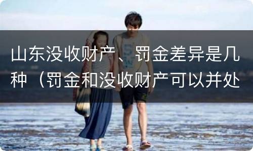 山东没收财产、罚金差异是几种（罚金和没收财产可以并处吗）