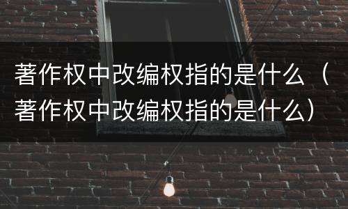 著作权中改编权指的是什么（著作权中改编权指的是什么）