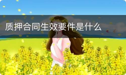 质押合同生效要件是什么