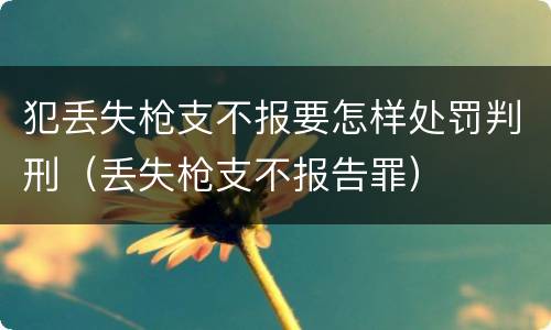 犯丢失枪支不报要怎样处罚判刑（丢失枪支不报告罪）