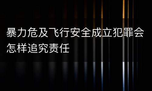 暴力危及飞行安全成立犯罪会怎样追究责任
