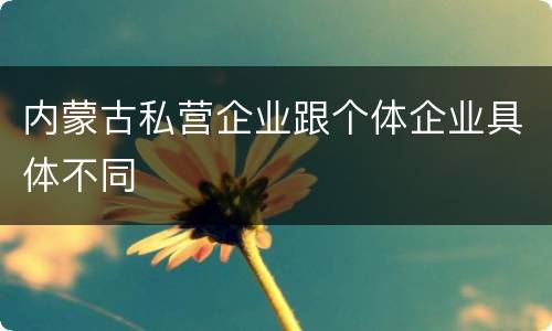 内蒙古私营企业跟个体企业具体不同
