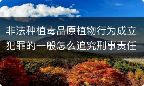 非法种植毒品原植物行为成立犯罪的一般怎么追究刑事责任