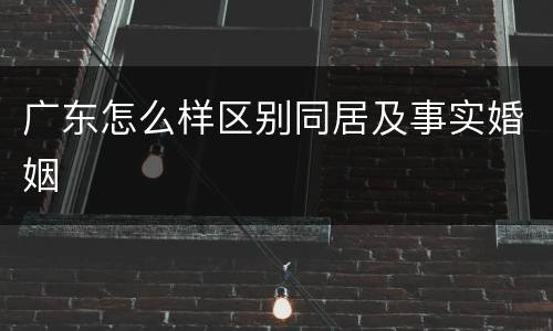 广东怎么样区别同居及事实婚姻