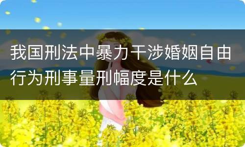 我国刑法中暴力干涉婚姻自由行为刑事量刑幅度是什么