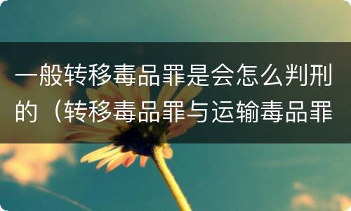 一般转移毒品罪是会怎么判刑的（转移毒品罪与运输毒品罪的区别）