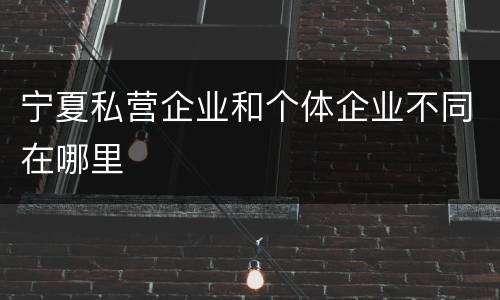 宁夏私营企业和个体企业不同在哪里